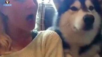 兴国话搞笑视频,方言魅力笑翻天