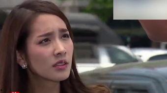 风味绝配演员有谁,众星云集，演绎美食与情感的交织