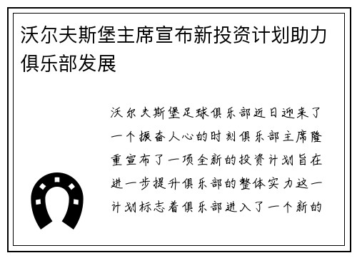 沃尔夫斯堡主席宣布新投资计划助力俱乐部发展