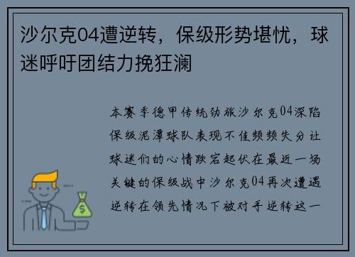 沙尔克04遭逆转，保级形势堪忧，球迷呼吁团结力挽狂澜