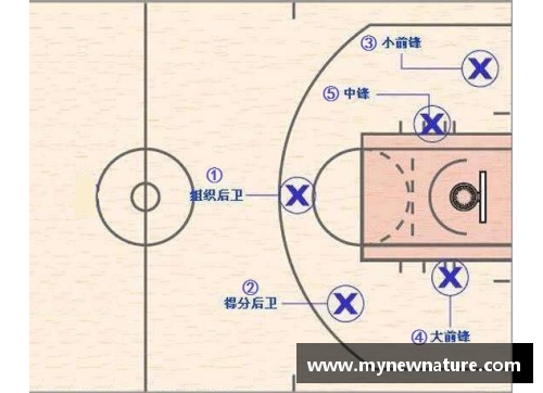 NBA站位战术演变与当代篮球战术策略分析