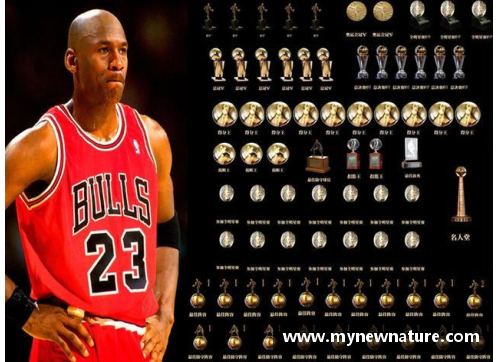 DB真人NBA风之子：传奇之路与篮球天赋的终极融合