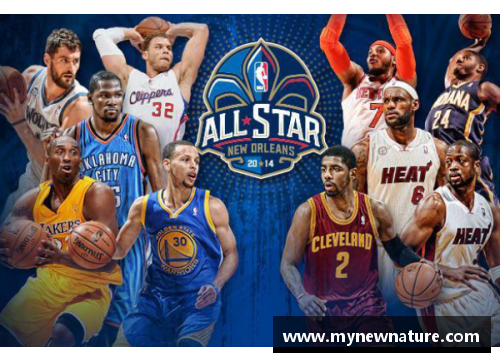 DB真人全面解析人人NBA：球迷狂热、球队战术与明星光芒