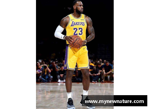 DB真人官方网站NBA波罗：探索其职业生涯的巅峰与低谷 - 副本
