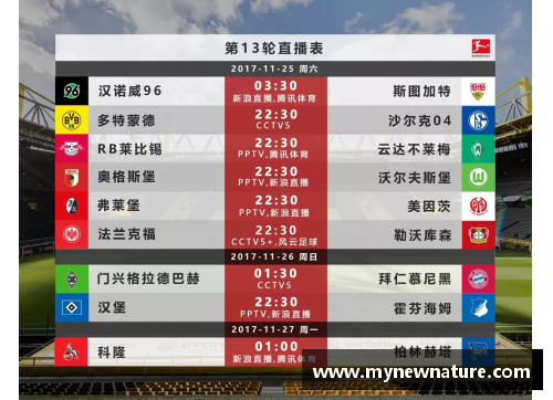 DB真人官方网站非德甲球迷入坑指南！关于德甲你需要知道哪些常识？