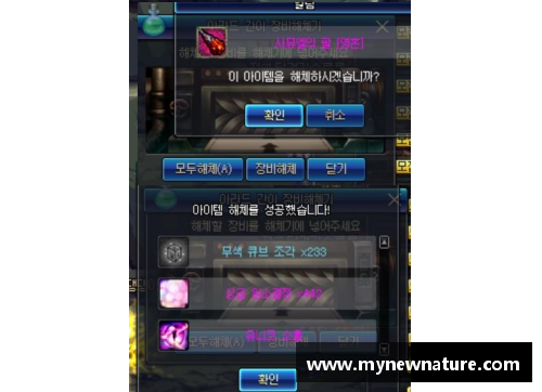 DB真人官方网站黄蜂传奇：探索历史悠久的球员风采 - 副本